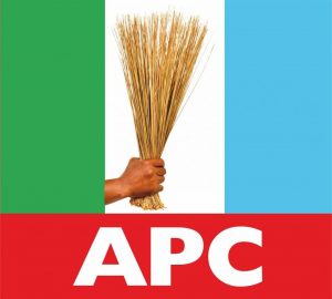 Read more about the article National Convention: Ogun APC Sets Up Sub-Committees