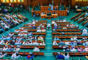Senate Passes Peace Corps Bill