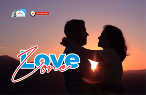 Read more about the article Love Zone