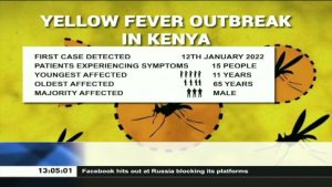 Read more about the article Kenya Declares Yellow Fever Outbreak