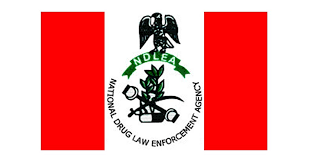 You are currently viewing NDLEA Arrests Suspected Drug Trafficking Leader At Lagos Airport