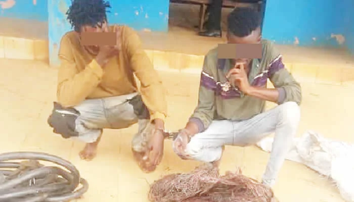 Two Held for Vandalizing IBEDC Cables