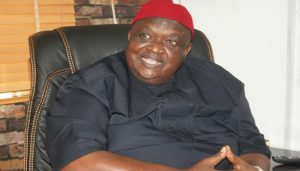 Iwuanyanwu Wants Power Rotation in 1999 Constitution