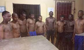 Amotekun Arrest 11 Suspected Cultists in Ogun