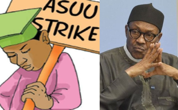 You are currently viewing FG Says ASUU Strike Stopping Education Students’ Stipend Payment
