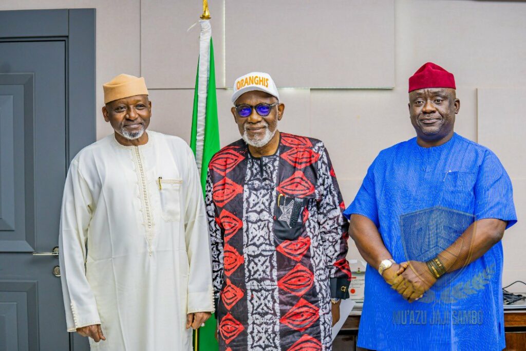 Read more about the article FG To Declare Proposed Ondo Port Project A Deep Sea Port
