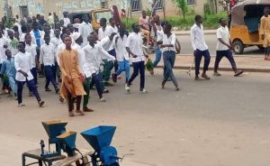 Bauchi Students Protest Separation Of Male And Female Students