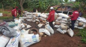 Read more about the article NDLEA Raids Warehouse In Ogun, Seizes 273 Jumbo Bags Of Indian Hemp