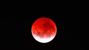 Read more about the article Total Lunar Eclipse Bathes Moon In Red Glow In North Europe To Pacific