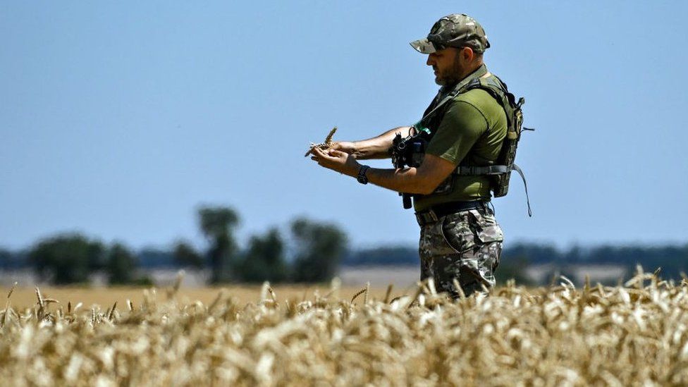 Ukraine Continues Grain Export Despite Russia’s Objection
