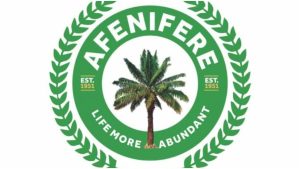 Afenifere Sacks Top Officials For Reacting To Iwuanyanwu Comment
