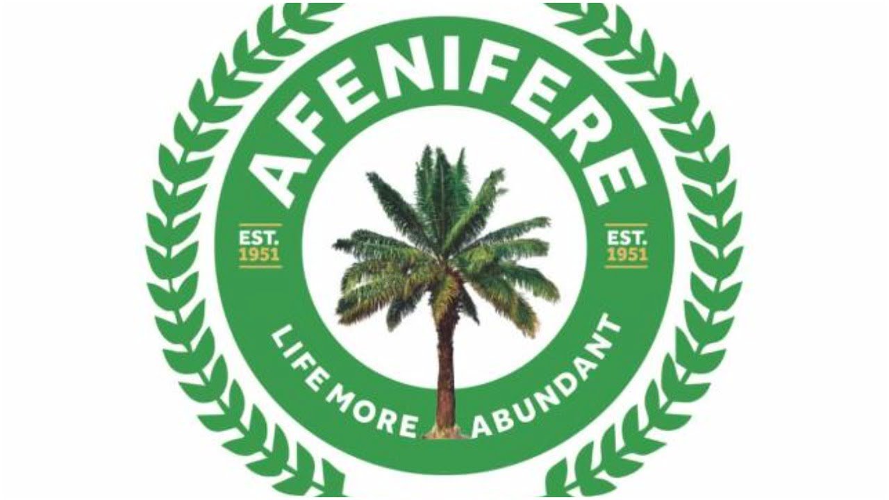 Afenifere Sacks Top Officials For Reacting To Iwuanyanwu Comment