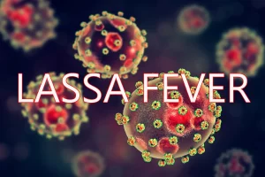Ondo Begins Distribution Of Free Pesticide To Rid The State Of Lassa Fever