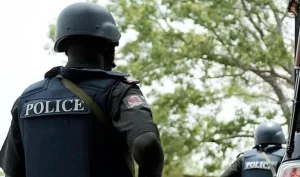 Police Deputy Commander Injured As Ten Cultists Arrested In Clampdown In Ogun