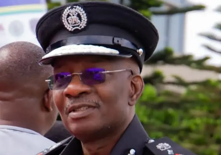 Acting IGP Egbetokun Decorated With New Rank, Ready Like Tiger To Devour Criminals