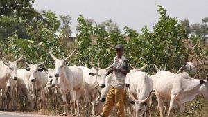 Former Minister Blames ECOWAS Treaty For The Influx Of Foreign Herders Into Nigeria