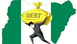 Stop Further Borrowing To Reduce The Growing Debt Servicing Burden On Nigerians - DMO