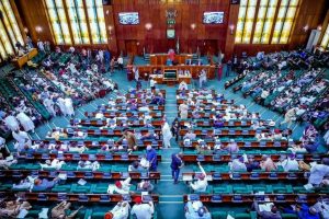 House Of Reps Asks FG To Lift Ban On The Sale Of Petrol At Ogun Border