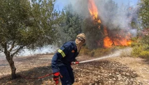 More Than 40 Killed As Mediterranean Wildfire Spreads To Algeria, Italy, Greece