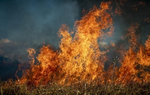 High Alert for Fresh Wildfires in Greece amidst Extreme Temperature