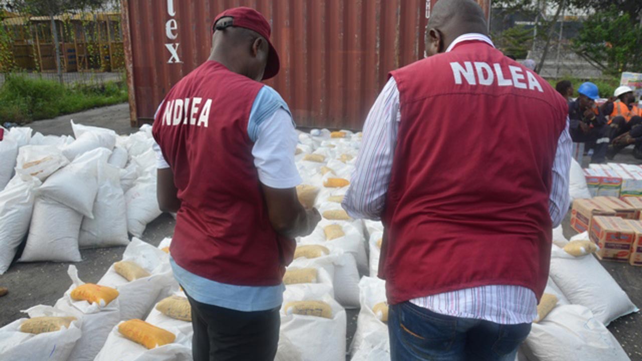 NDLEA Recovers N4.8b Tramadol Tablets in Lagos Warehouse, Seize Fake $30m Notes