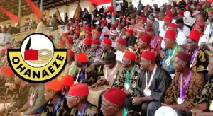 Ohanaeze Ndigbo Ask Tinubu to Ignore Calls for the Removal of Ondo, Imo, Abia from NDDC