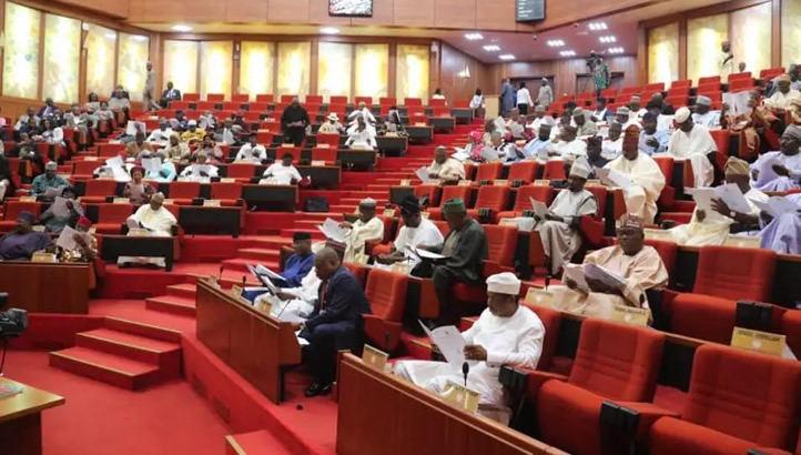 Senate Confirmed Tinubu's 2023 Supplementary Bill of N2.17 Trillion