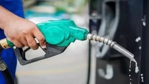 Relief for Ogun West as the Presidency Okays Two Petrol Stations to Open Close to Idiroko