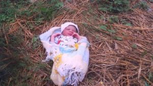 A Day Old Baby Was Dumped In a Bush in Minna