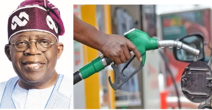 FG Faults World Bank's Petrol Price Claims