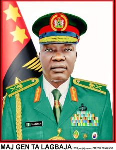 Army Chief of Staff Warns Against Nigerians Bearing Arms to Defend Themselves