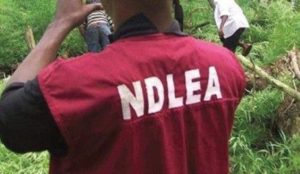 NDLEA Intercepts Suspected Drug Traffickers With 1.8 Kilogram of Cocaine in Ogun