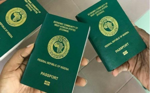 NIS Activates Its Automated Passport Application Process