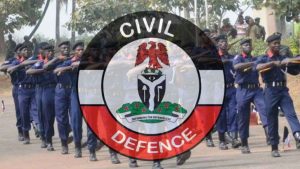 NSCDC Intercepts 4,200 Litres of Petrol During Patrol in Ipokia Ogun State