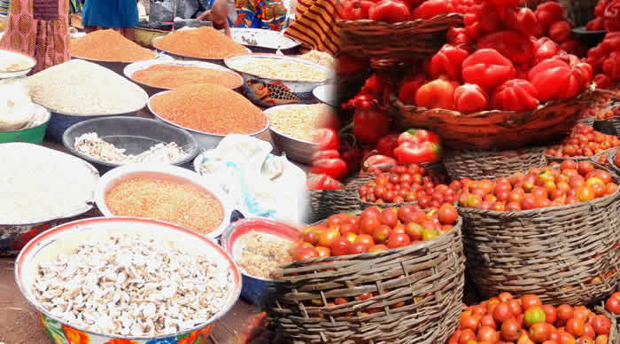 Ogun Floats Plan to Become Nigeria’s Food Basket
